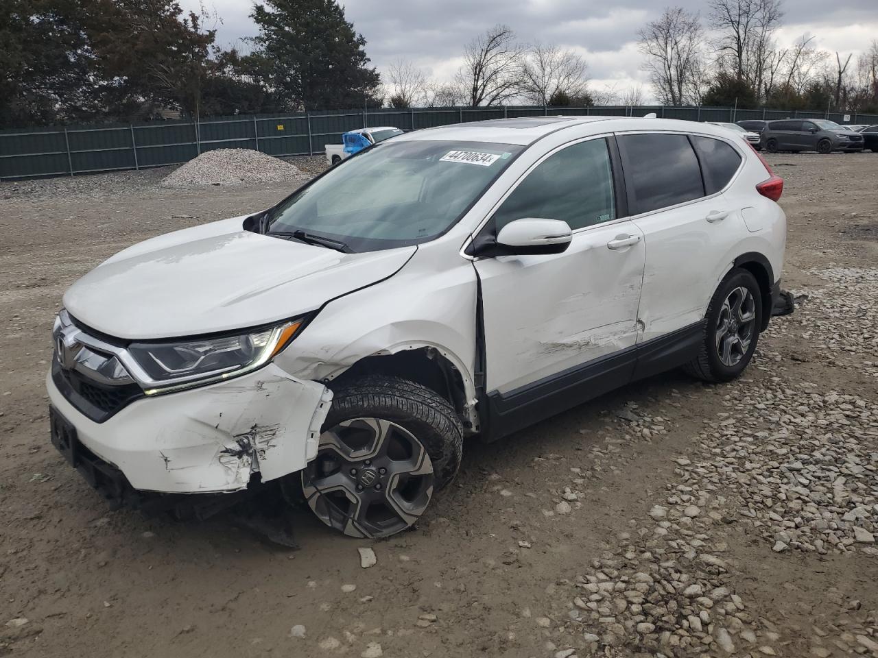 HONDA CR-V 2019 5j6rw1h84ka018613