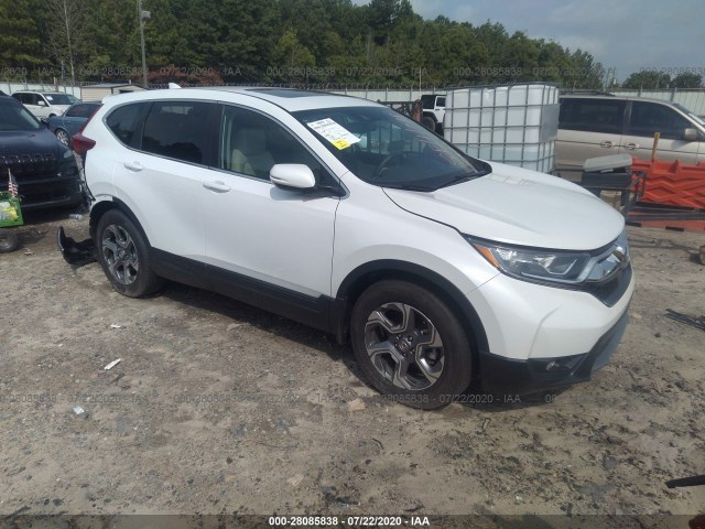 HONDA CR-V 2019 5j6rw1h84ka023911