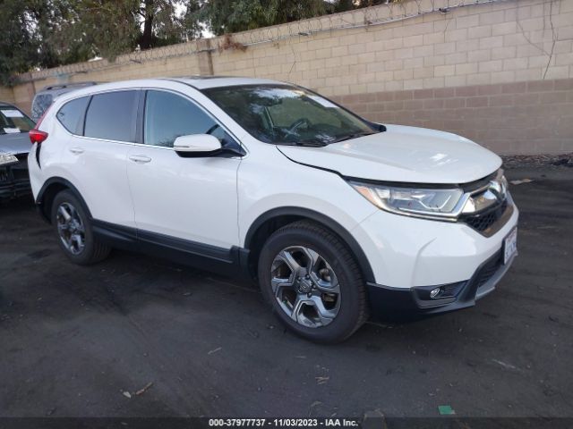 HONDA CR-V 2019 5j6rw1h84ka033161