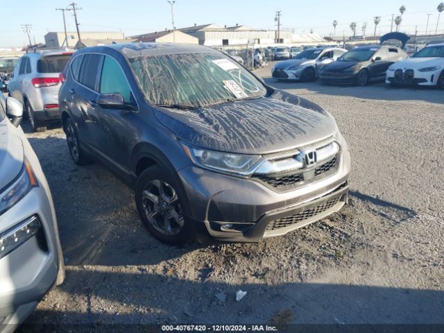 HONDA CR-V 2019 5j6rw1h84ka043284