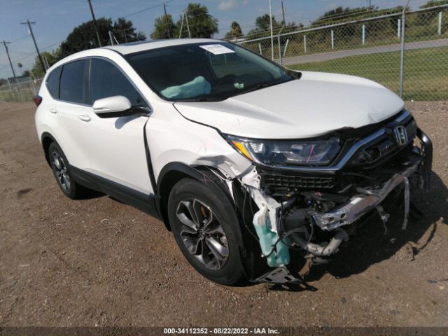 HONDA CR-V 2020 5j6rw1h84la010559