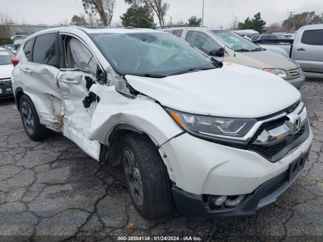 HONDA CR-V 2019 5j6rw1h85ka023951