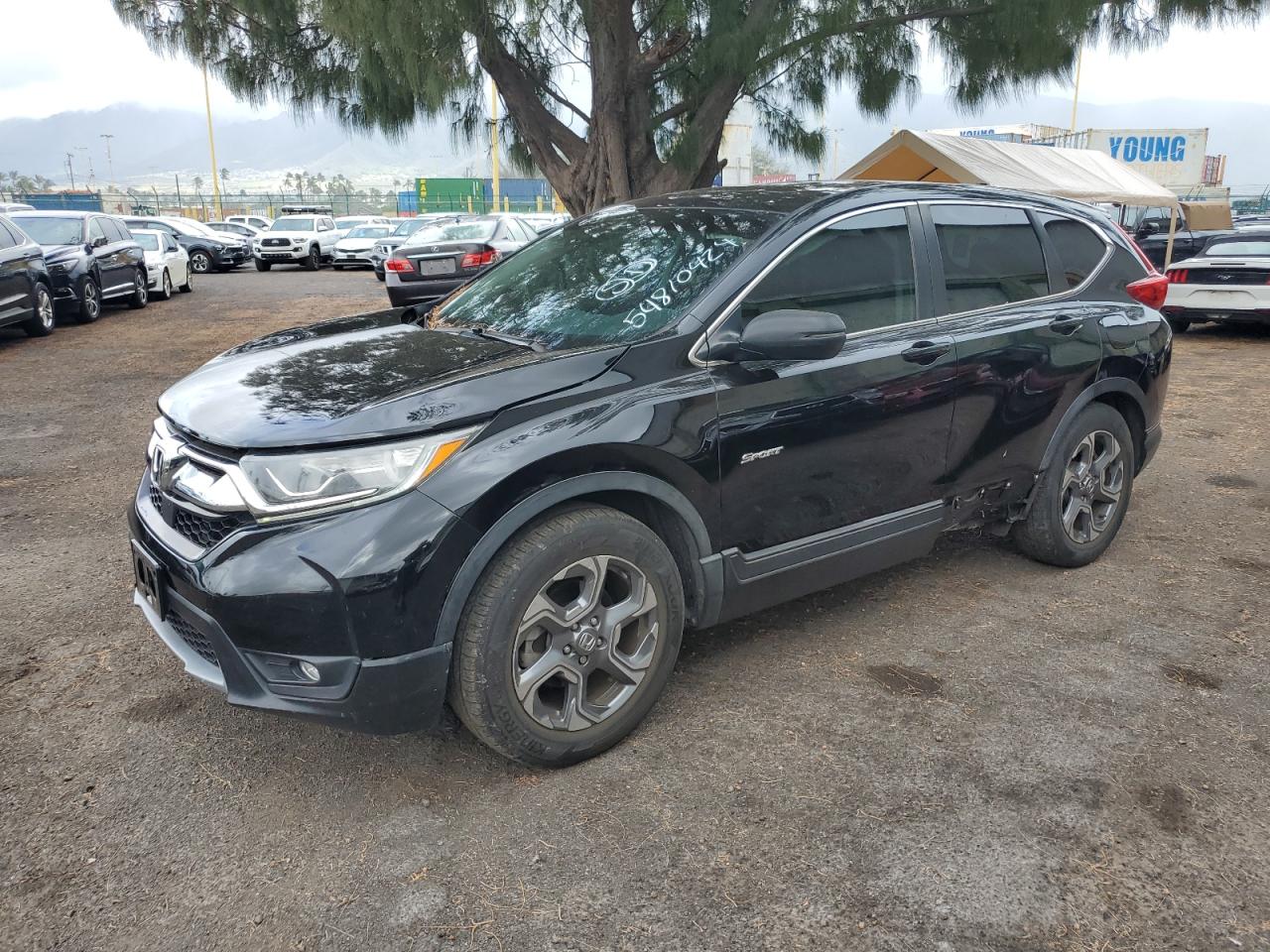 HONDA CR-V 2019 5j6rw1h86ka007449