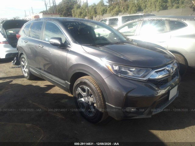 HONDA CR-V 2019 5j6rw1h87ka004057