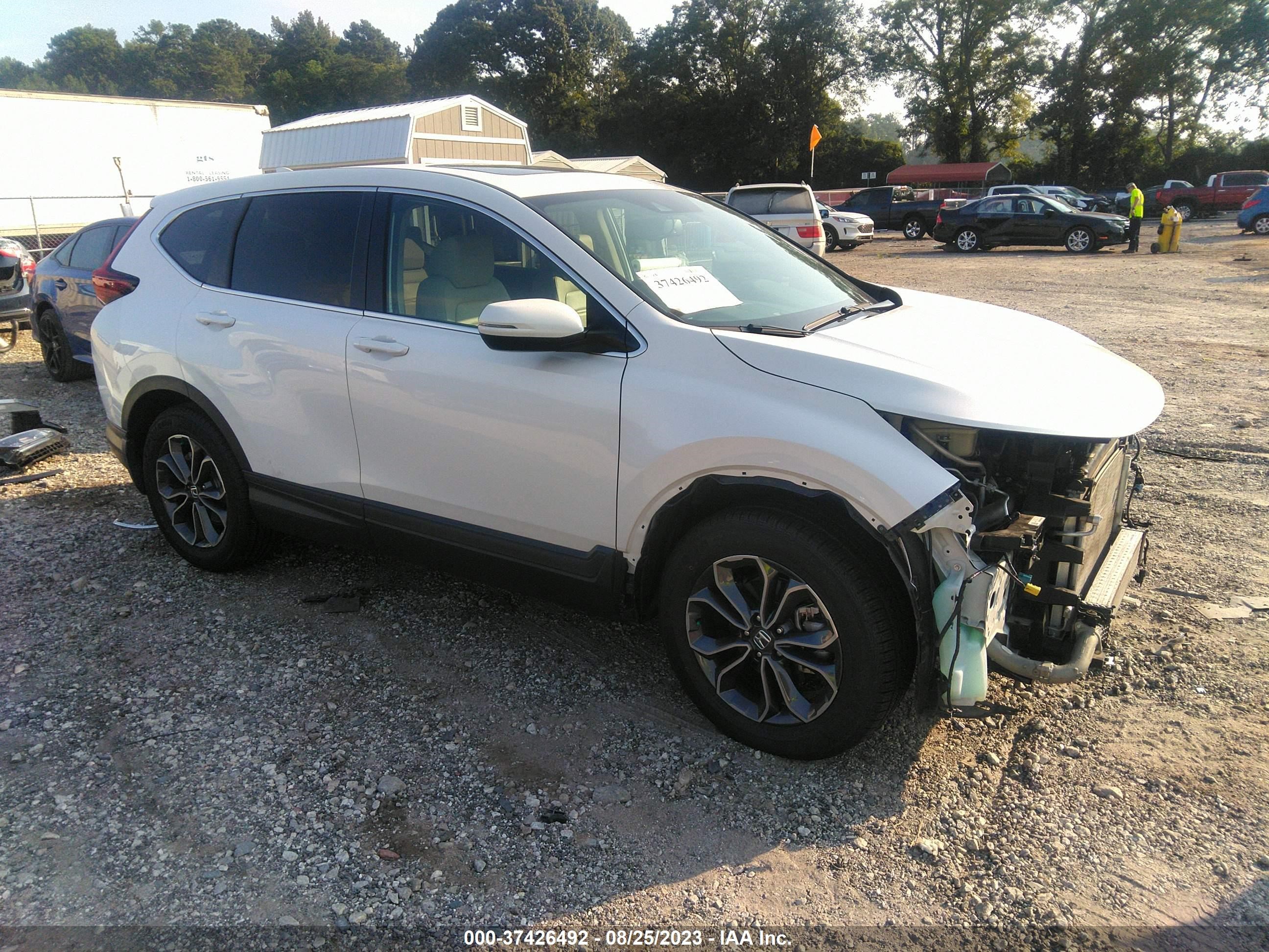 HONDA CR-V 2020 5j6rw1h87la018512