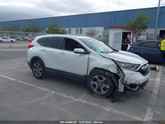 HONDA CR-V 2019 5j6rw1h88ka004083