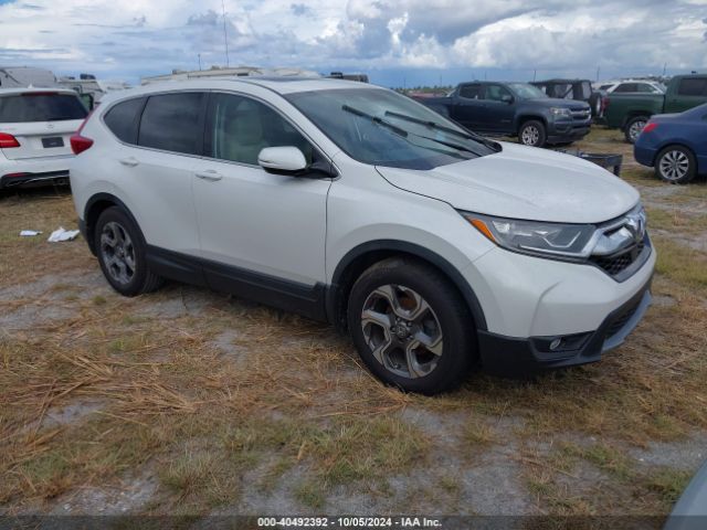 HONDA CR-V 2019 5j6rw1h8xka009432