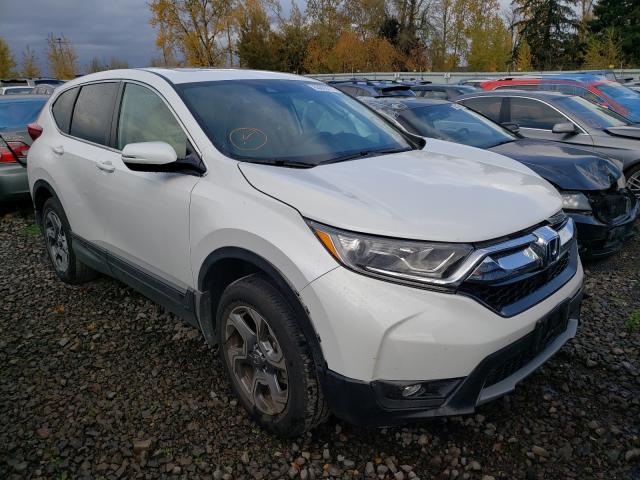 HONDA CR-V EX 2019 5j6rw2h50ka008933