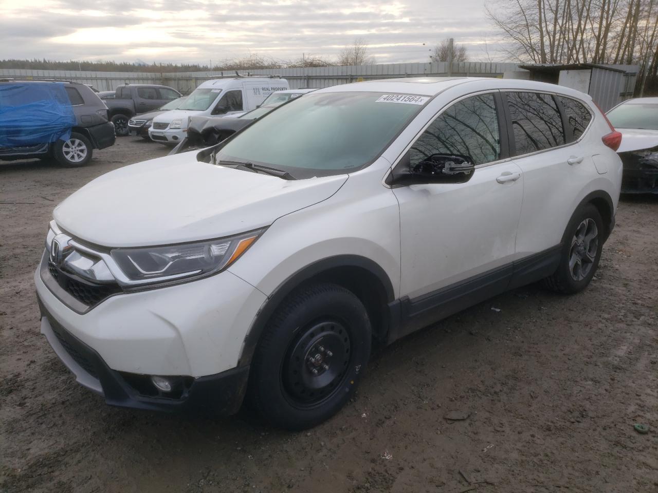 HONDA CR-V 2019 5j6rw2h50ka012884