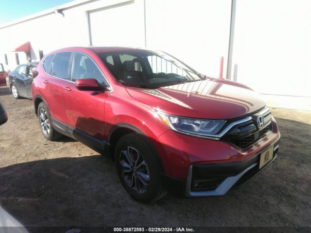 HONDA CR-V 2020 5j6rw2h50ll016441