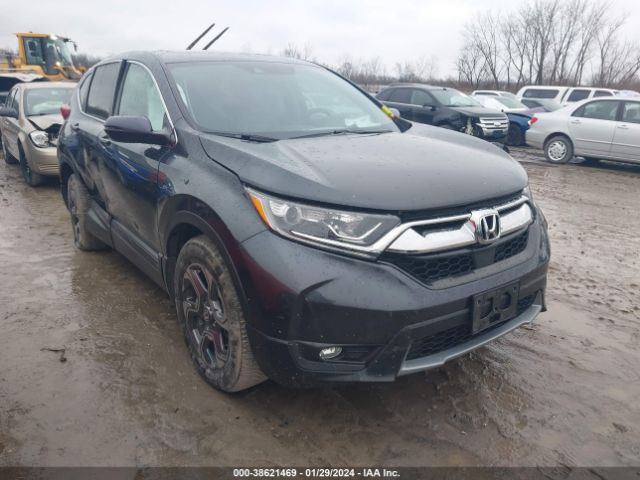 HONDA CR-V 2019 5j6rw2h51ka017981