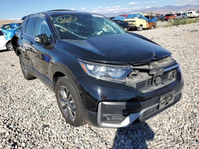 HONDA CR-V 2020 5j6rw2h52la004366