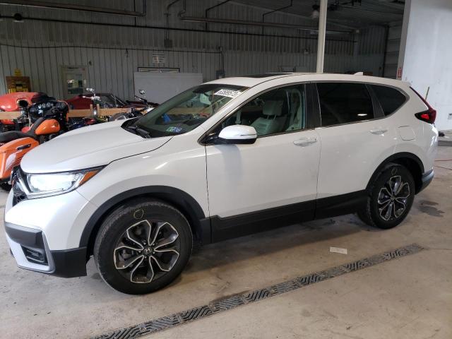 HONDA CR-V EX 2020 5j6rw2h52ll035704