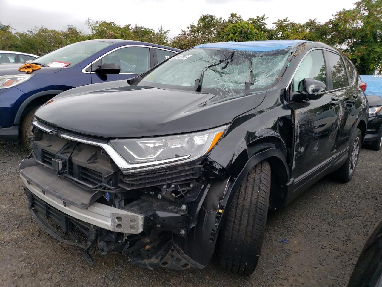 HONDA CR-V 2019 5j6rw2h53kl008266