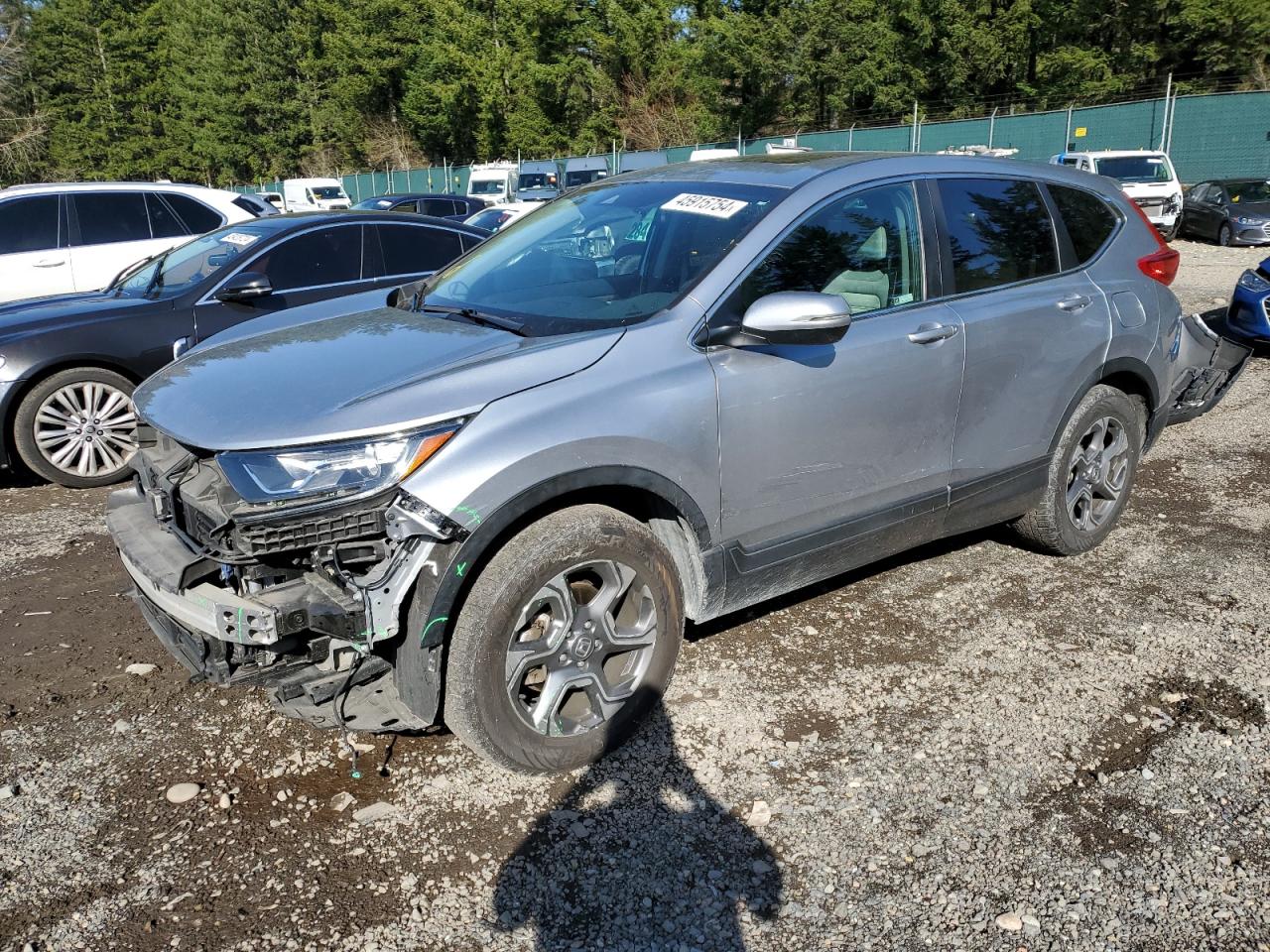 HONDA CR-V 2019 5j6rw2h55ka021192