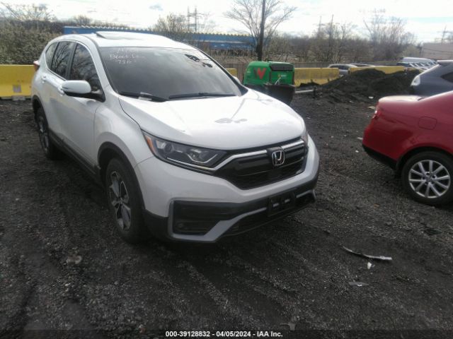 HONDA CR-V 2020 5j6rw2h55la018195