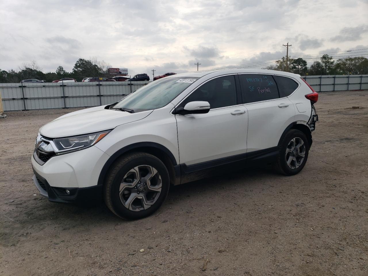 HONDA CR-V 2019 5j6rw2h56ka016227