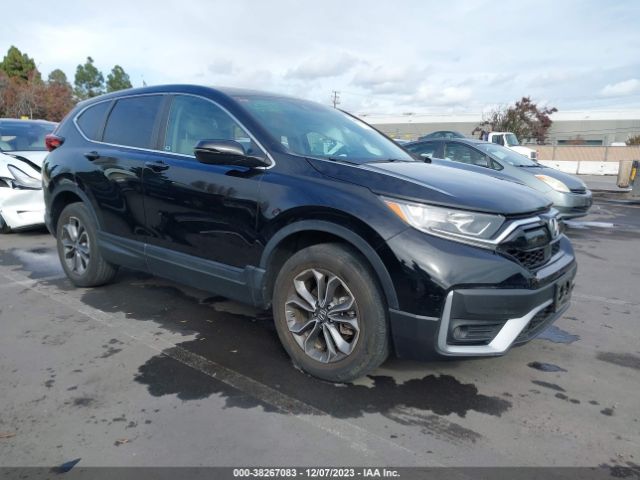 HONDA CR-V 2020 5j6rw2h56la011840