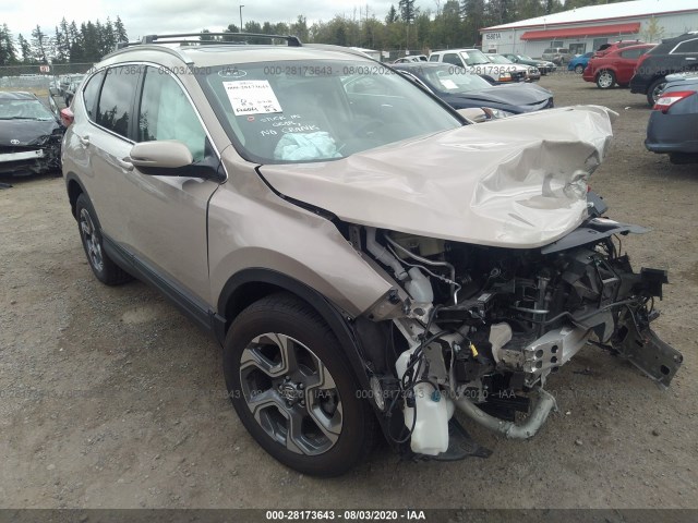 HONDA CR-V 2019 5j6rw2h58kl010644