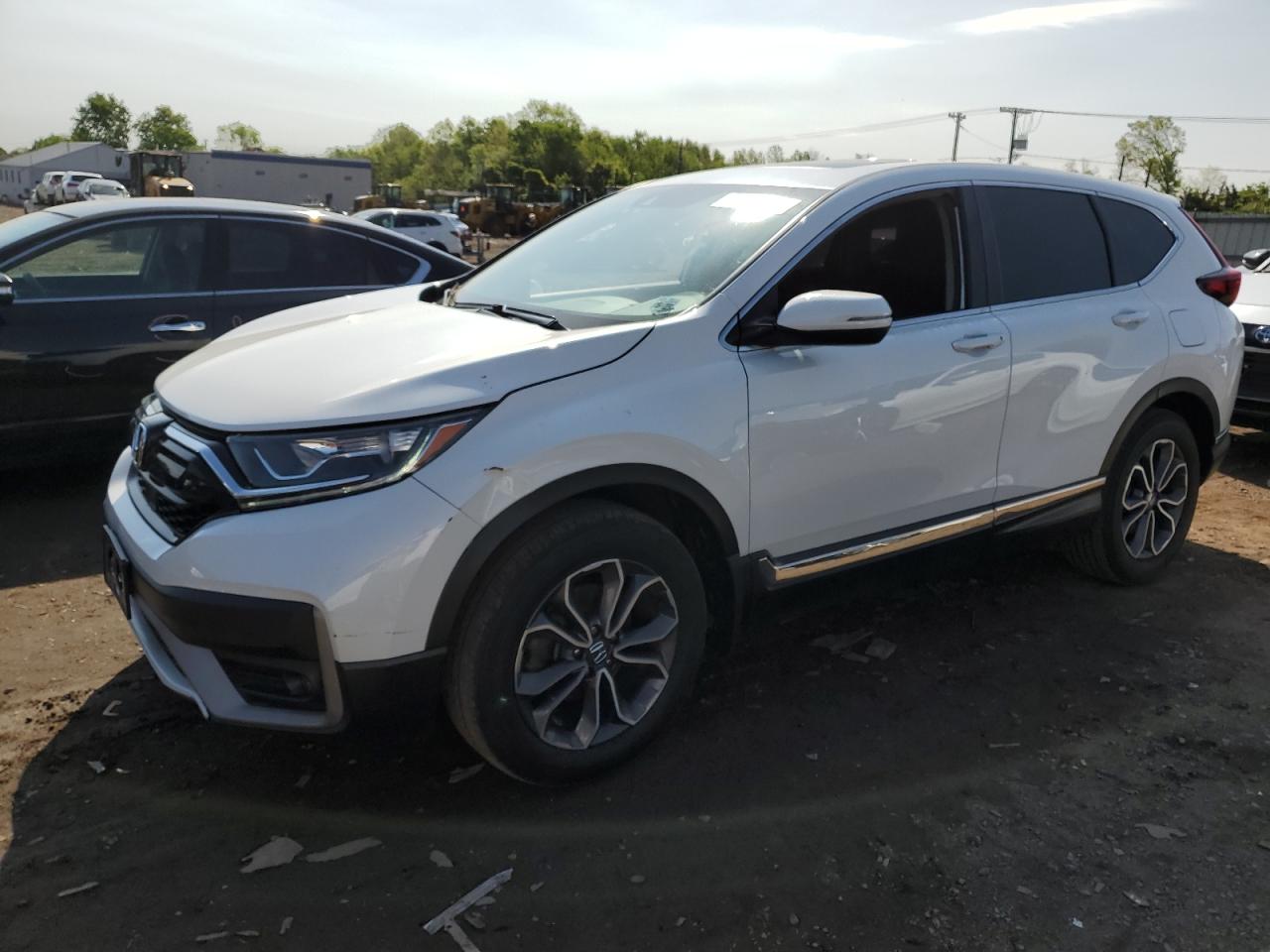 HONDA CR-V 2020 5j6rw2h5xll012378