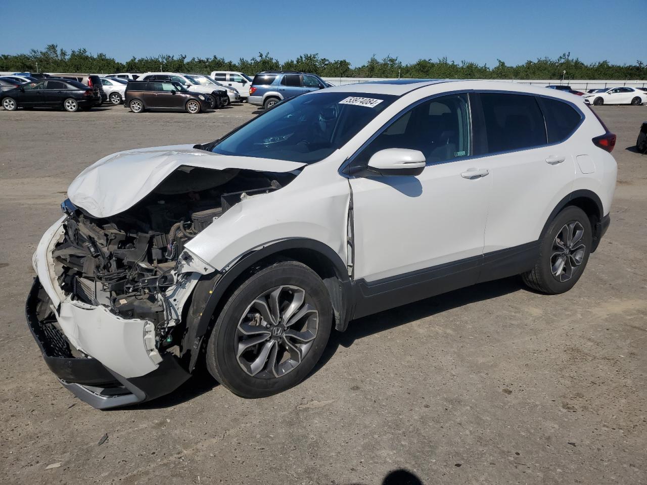 HONDA CR-V 2020 5j6rw2h80la018664