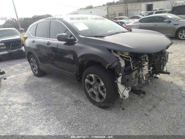 HONDA CR-V 2019 5j6rw2h84ka002966