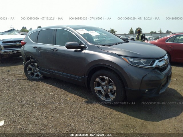 HONDA CR-V 2019 5j6rw2h84ka015331