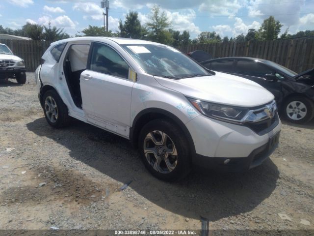 HONDA CR-V 2019 5j6rw2h84kl008304