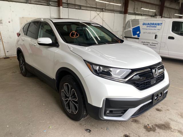 HONDA CR-V 2020 5j6rw2h86la004803