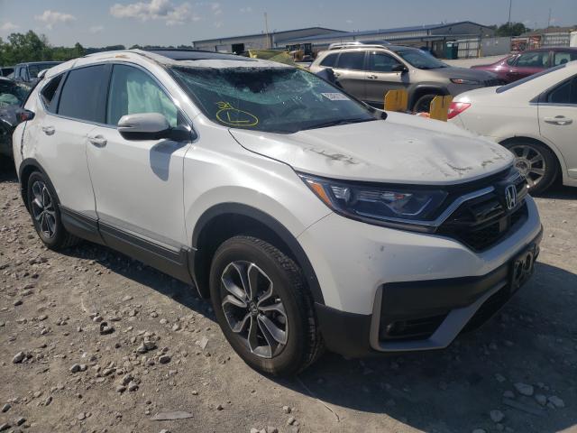 HONDA CR-V EXL 2020 5j6rw2h86ll003817