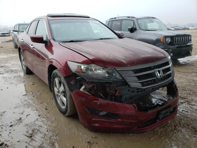 HONDA ACCORD CRO 2010 5j6tf1h32al016789