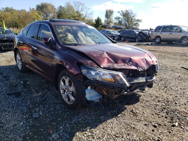 HONDA CROSSTOUR 2012 5j6tf1h5xcl002207