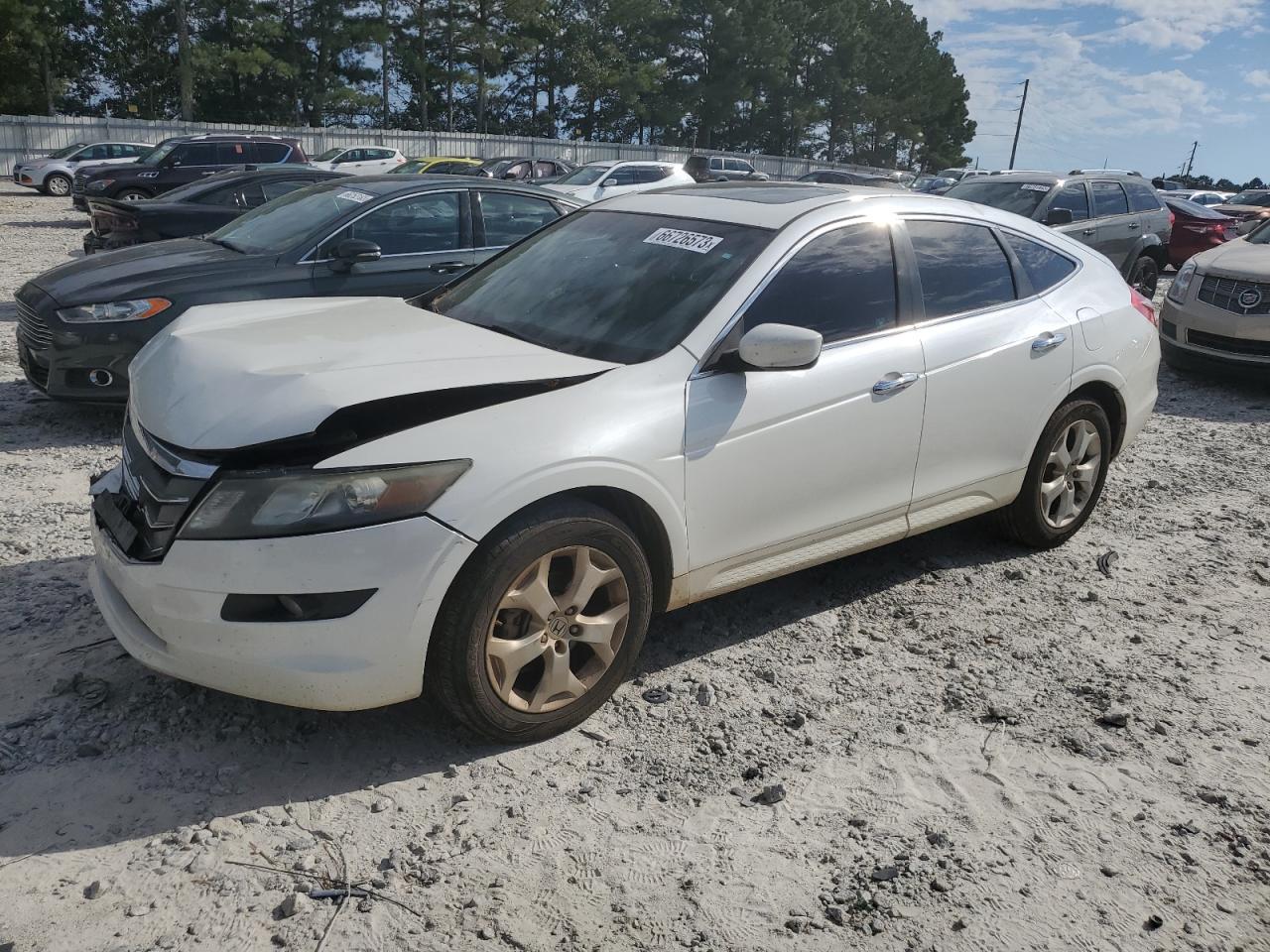 HONDA ACCORD 2011 5j6tf2h55bl005584