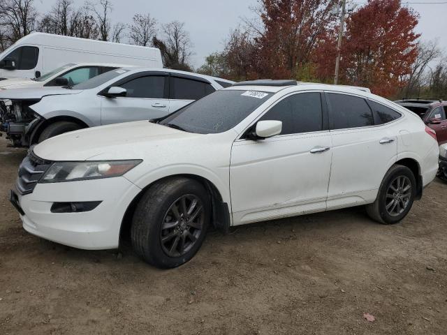 HONDA ACCORD 2010 5j6tf2h58al006923