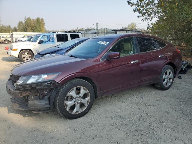 HONDA CROSSTOUR 2012 5j6tf2h59cl003550