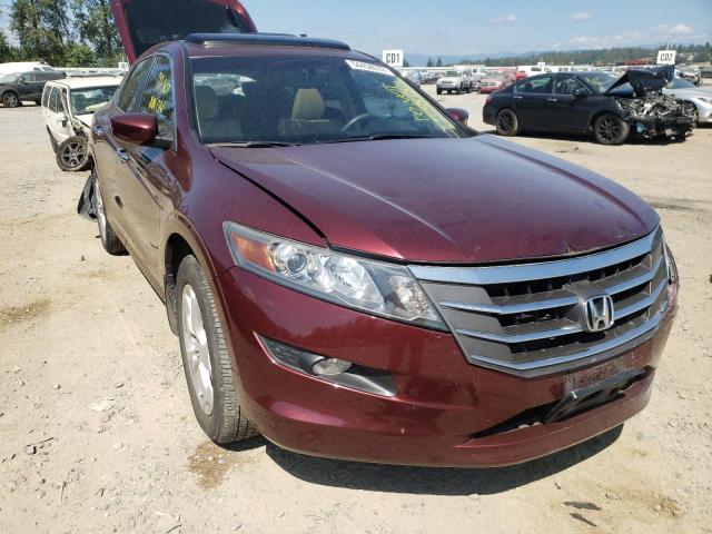 HONDA CROSSTOUR 2012 5j6tf2h59cl006030