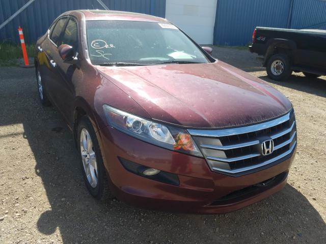 HONDA CROSSTOUR 2012 5j6tf2h59cl800302