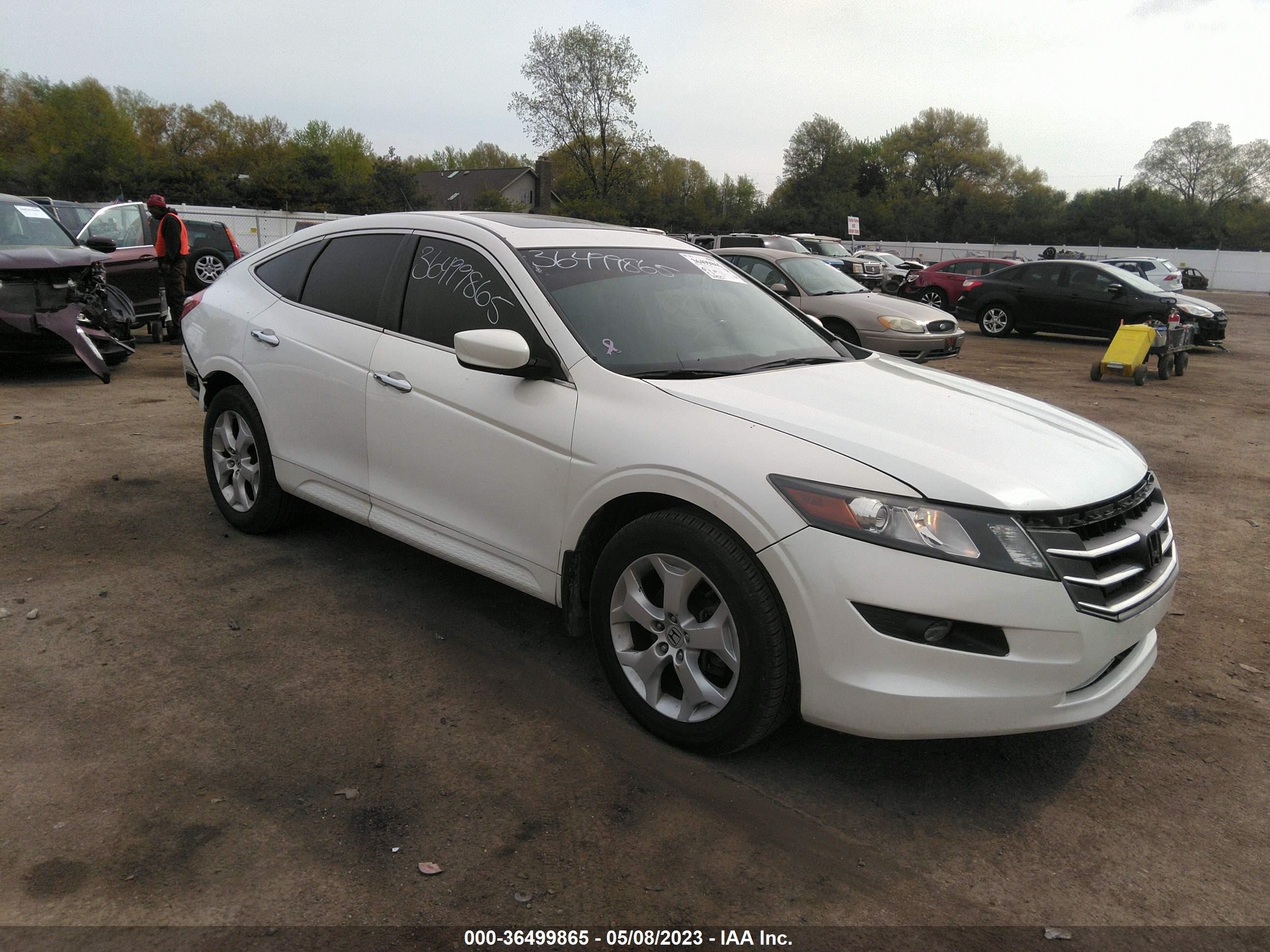 HONDA ACCORD 2011 5j6tf2h5xbl006553