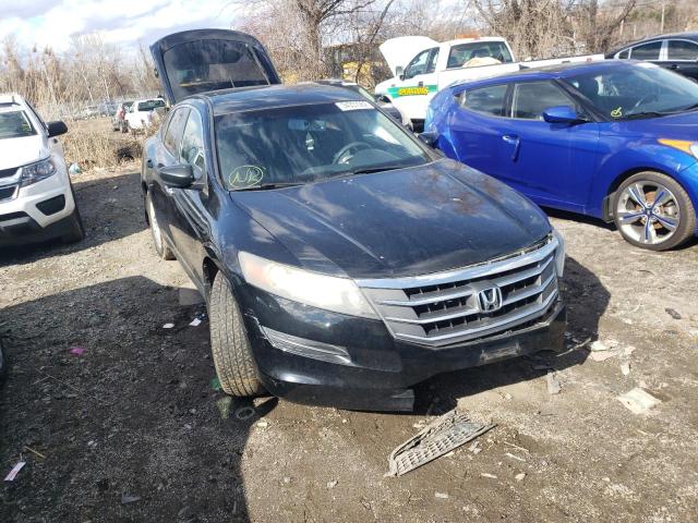 HONDA CROSSTOUR 2012 5j6tf3h31cl001974