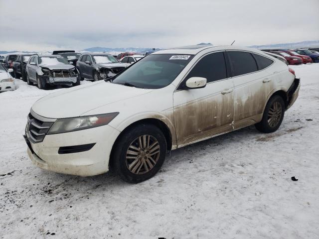 HONDA CROSSTOUR 2012 5j6tf3h35cl002299