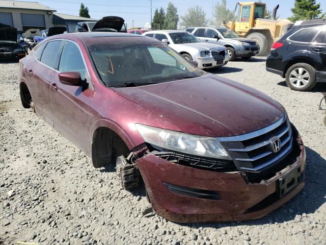 HONDA CROSSTOUR 2012 5j6tf3h35cl004666