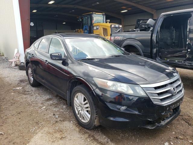 HONDA CROSSTOUR 2012 5j6tf3h38cl005598