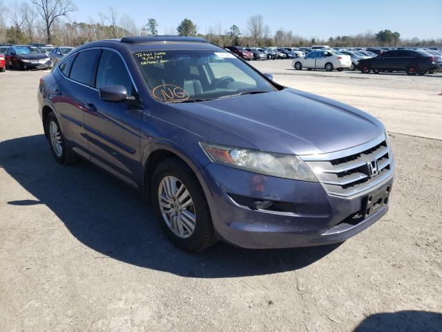 HONDA CROSSTOUR 2012 5j6tf3h54cl002828