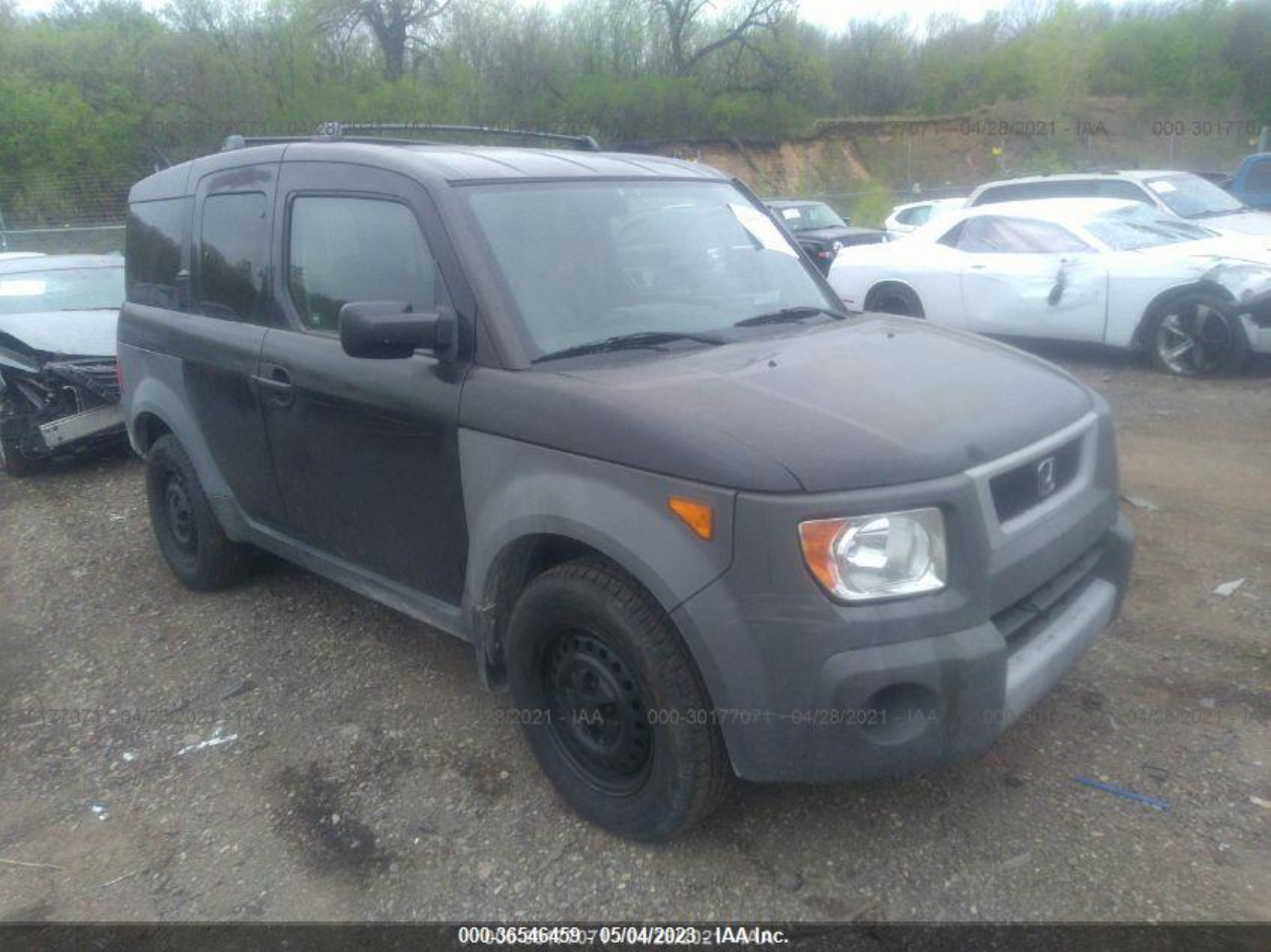 HONDA ELEMENT 2004 5j6yh18344l009010