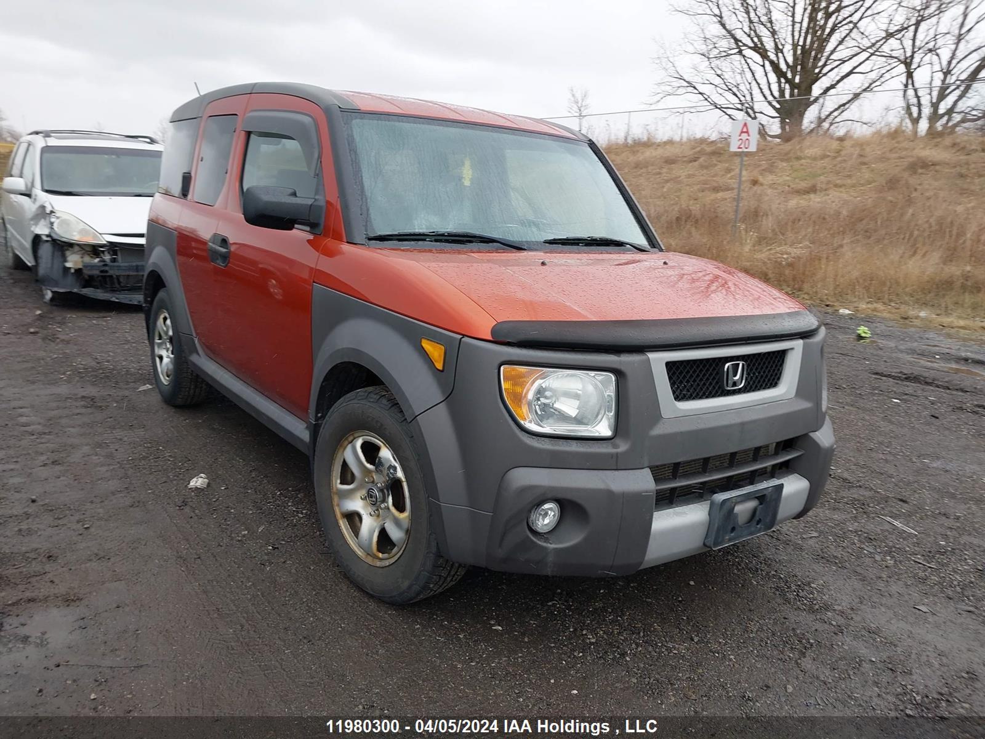 HONDA ELEMENT 2005 5j6yh28675l011321