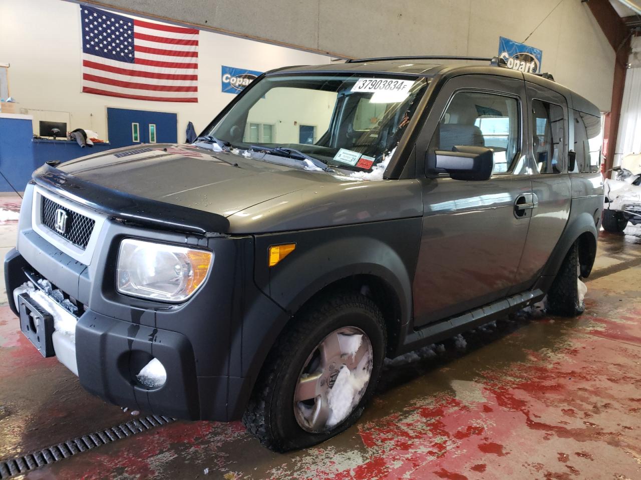 HONDA ELEMENT 2005 5j6yh28685l033117