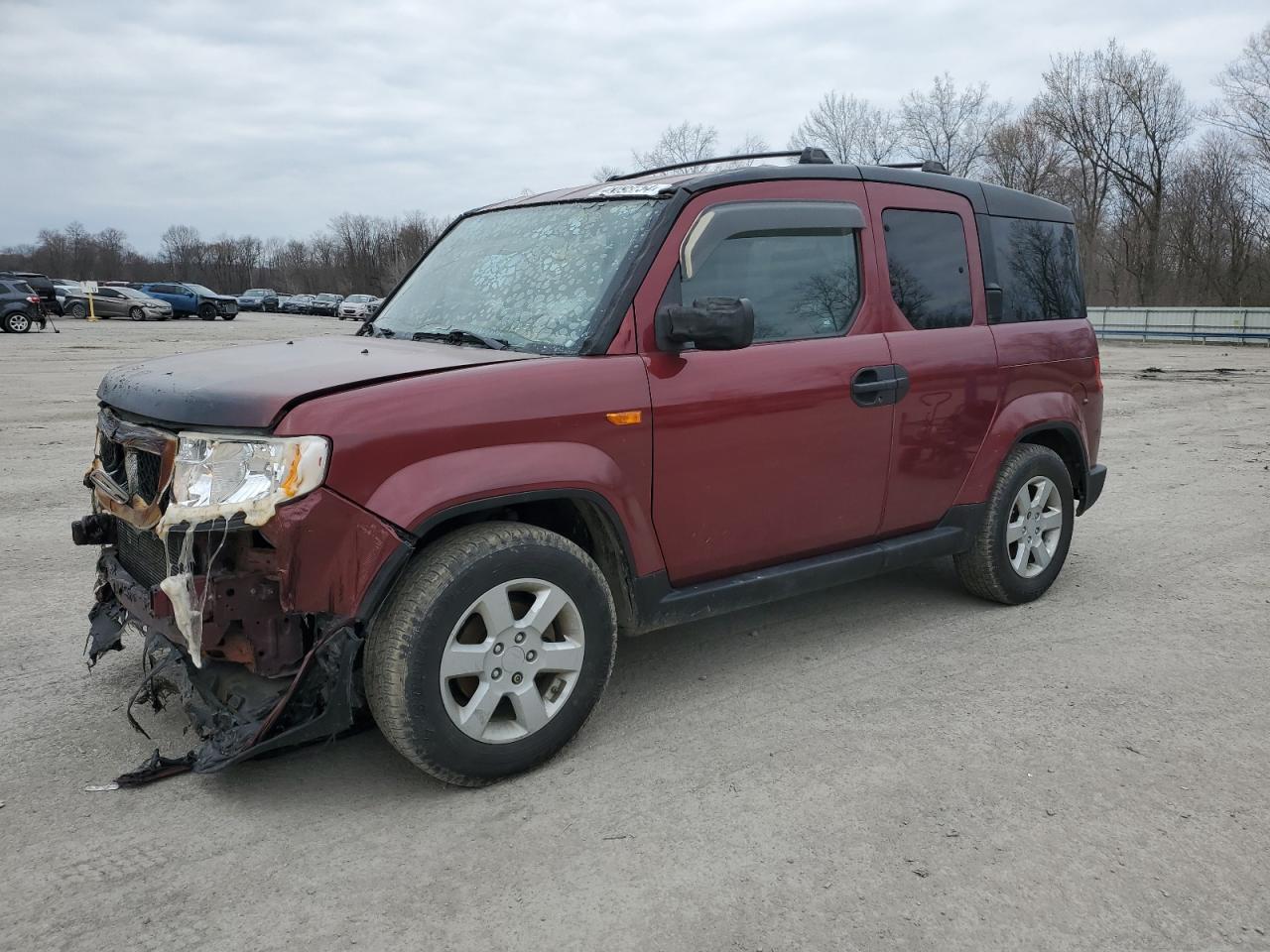 HONDA ELEMENT 2009 5j6yh28709l004113