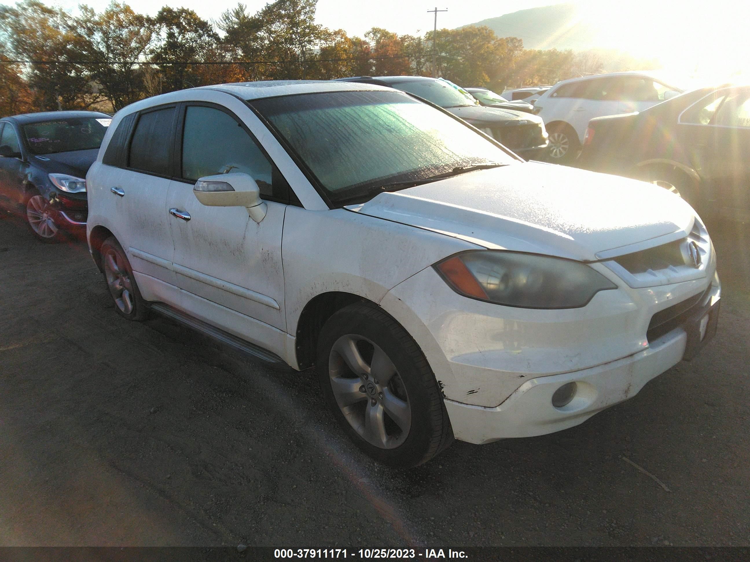 ACURA RDX 2007 5j8tb18507a019019