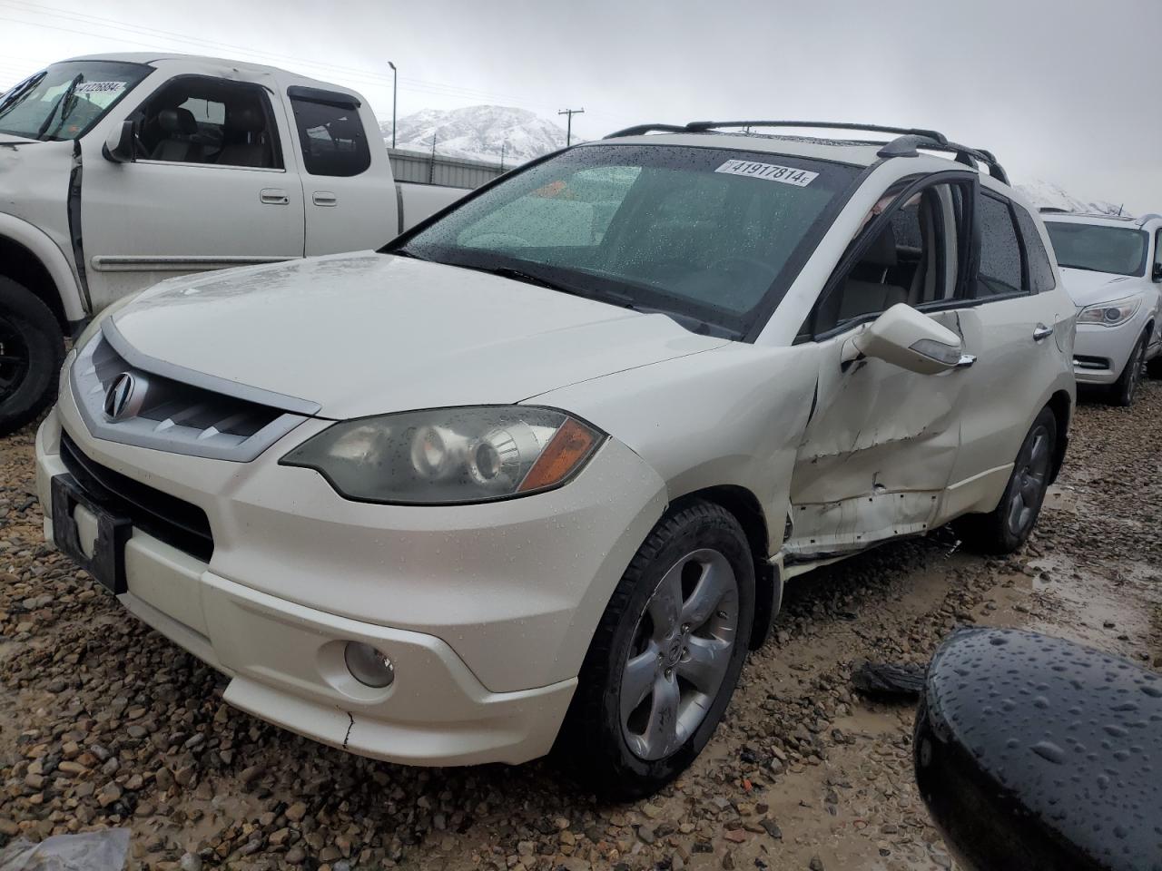 ACURA RDX 2009 5j8tb18529a001740