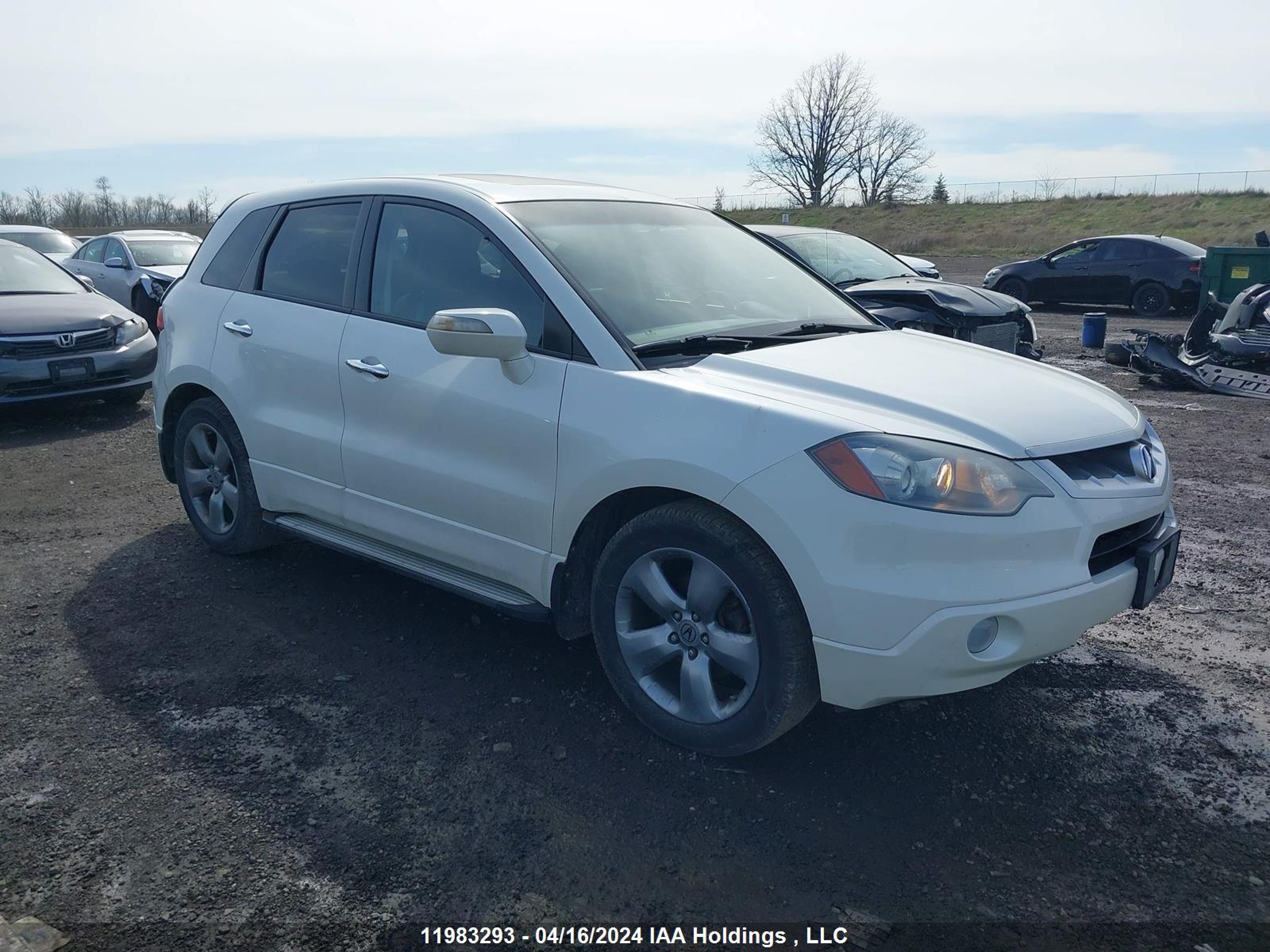 ACURA RDX 2007 5j8tb185x7a800727